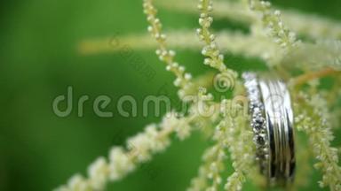 Ð一朵美丽的花上挂着结婚戒指。 一对漂亮的结婚戒指在植物上。 结婚礼物